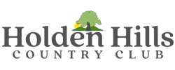 logo web